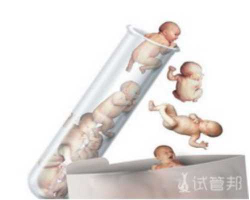 泰国大学生代孕价格,郑州大学第一附属医院试管婴儿移植一个胚胎成功率多少