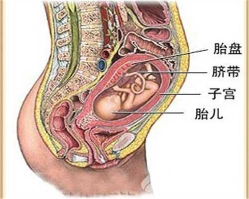泰国代孕安全么_泰国代孕医院有几家