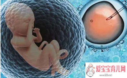 遵义代生机构_遵义代生妈妈需要多少钱_胚胎冷冻对宝宝有影响试管婴儿冷冻胚