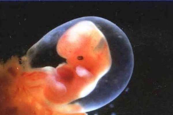 海口代孕中心联系方式_试管婴儿成功移植后，最早多久可以验孕呢？