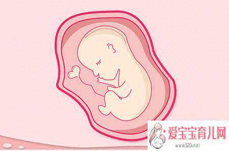 襄樊代孕得子_襄樊替人代孕多少钱_试管婴儿和自然怀孕有什么不同