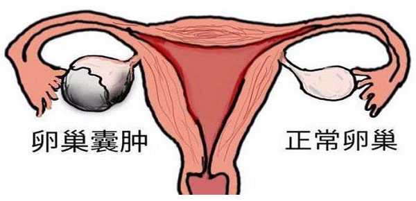 南通代孕有哪些_南通代孕生子医院_卵巢早衰可以做试管婴儿的成功率不高